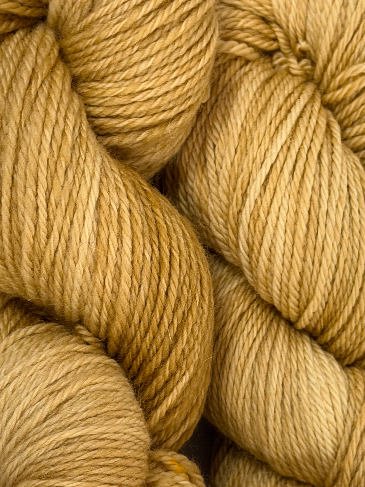 Camel~ Gen’s DK