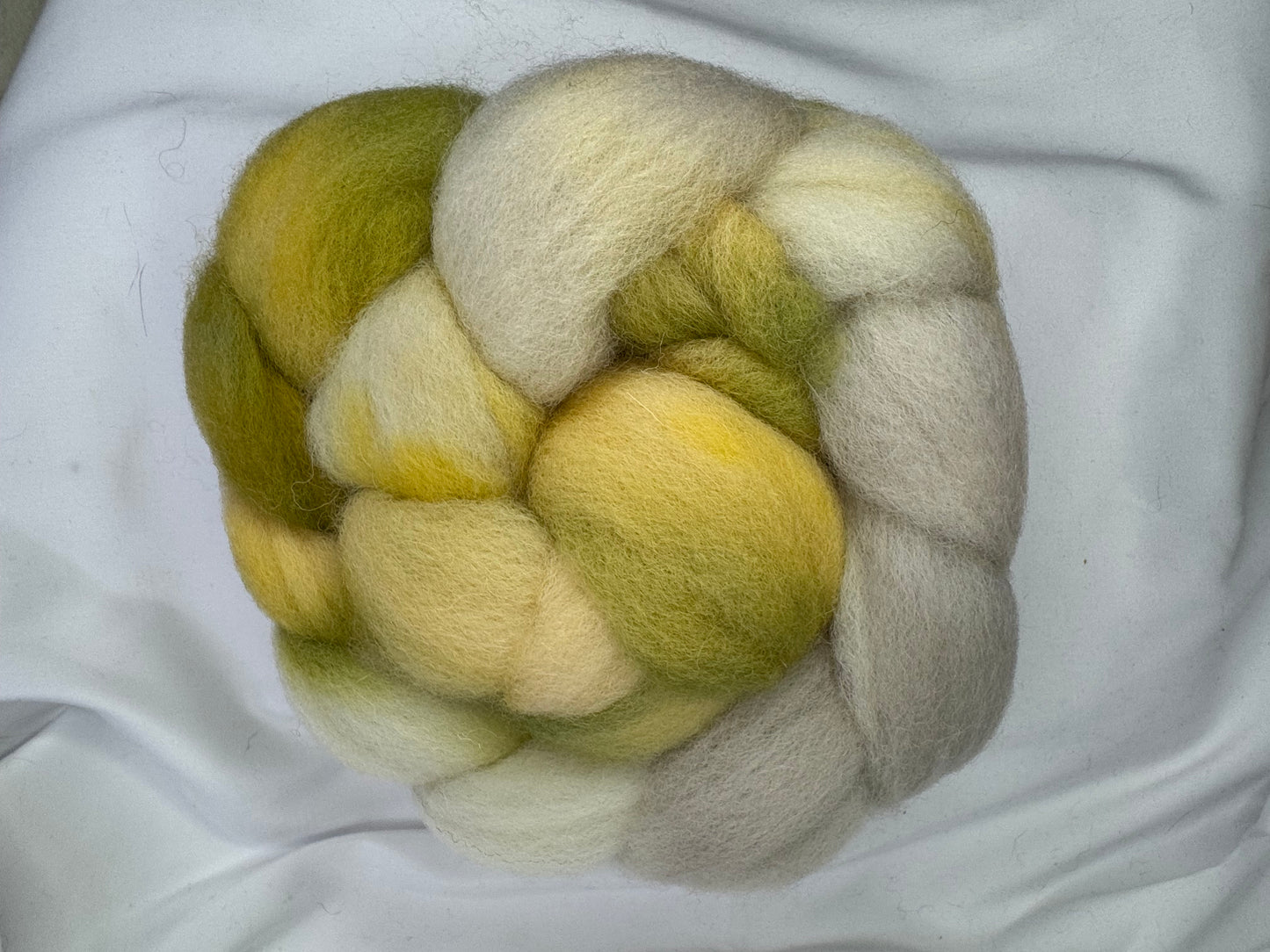 Cheviot~~Superwash~(SWCHEV-09)~4 oz Braid