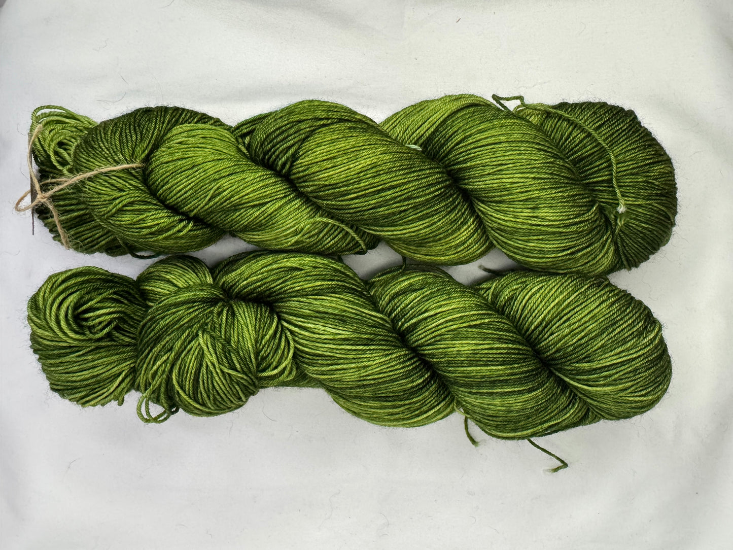 Evelyn's Sock~Avocado~Hand Dyed~Superwash Merino Nylon~463 Yards