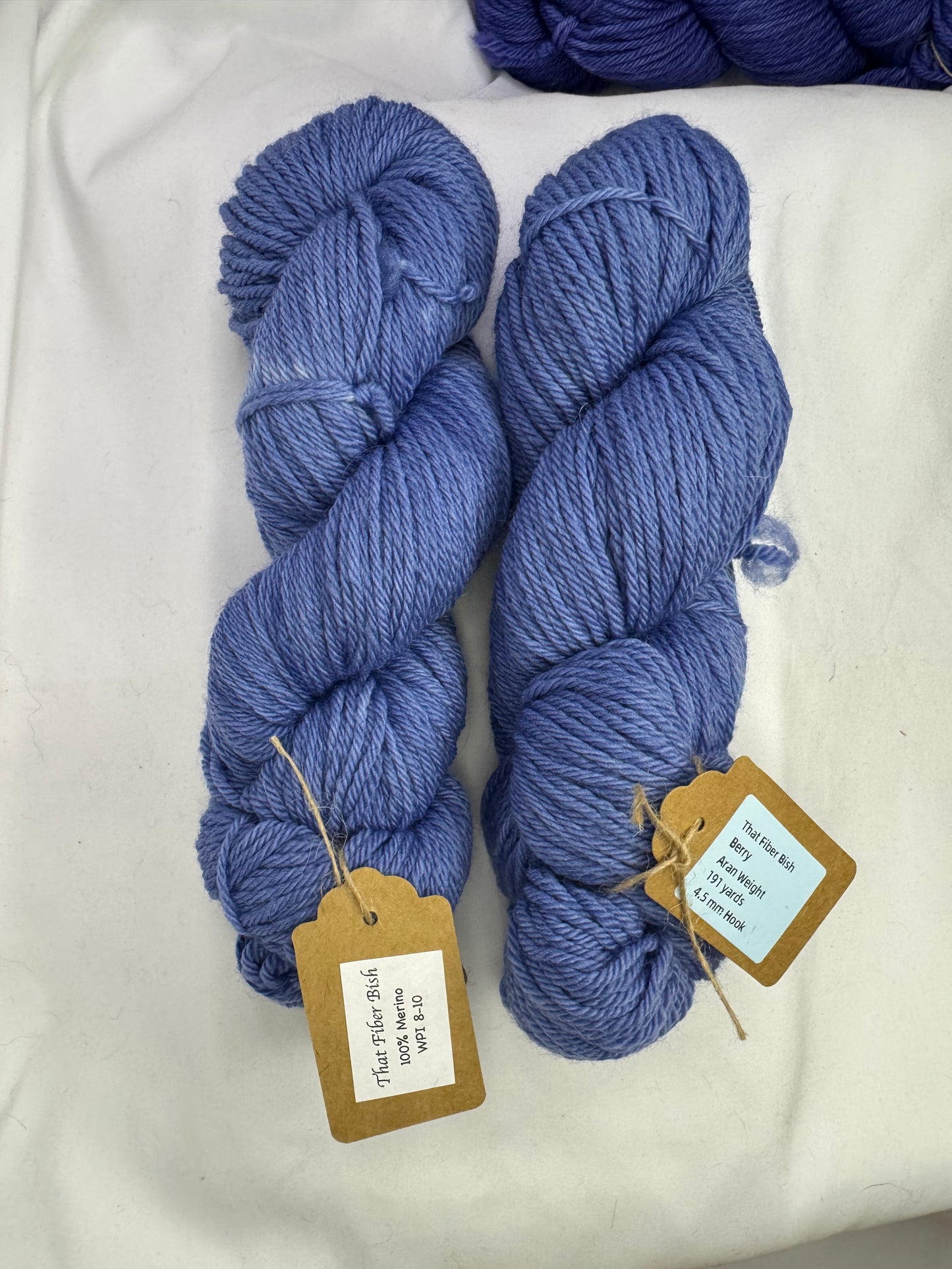 Berry Colorway~ Grace's Aran Weight~191 Yards