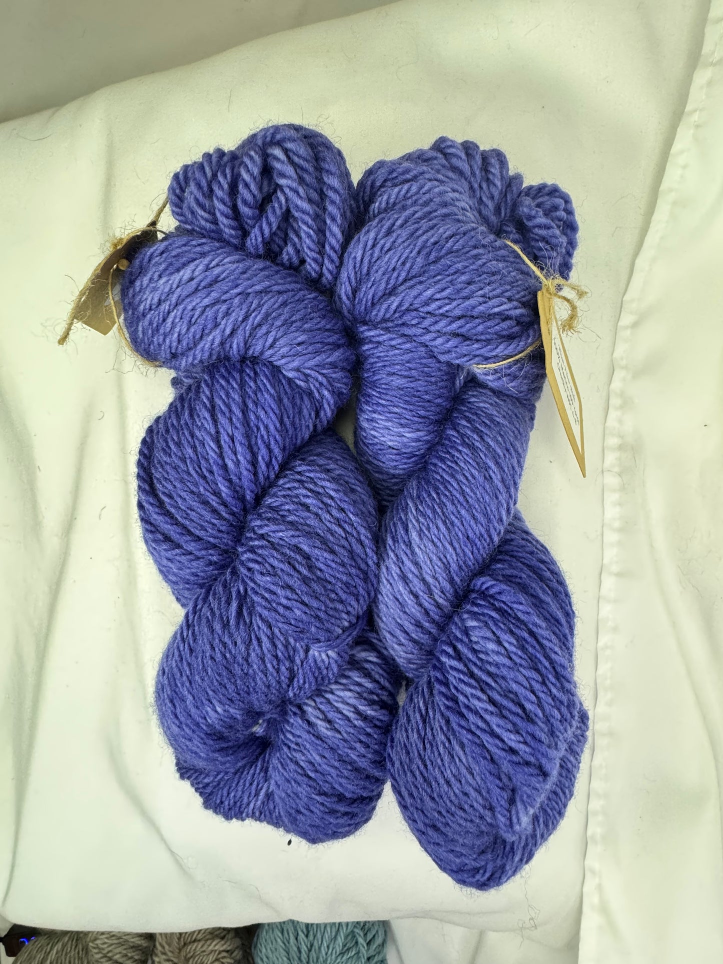 Blueberry~Hand Dyed Yarn~109 yards~Chunky Weight~100 % Merino