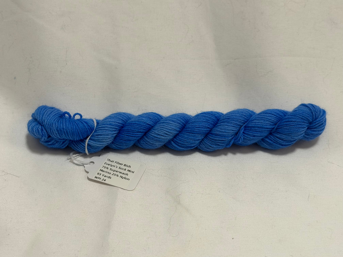 Blue~Late Spring Palette~Mini Skein~Evelyn's Sock~75/25 Superwash Merino & Nylon