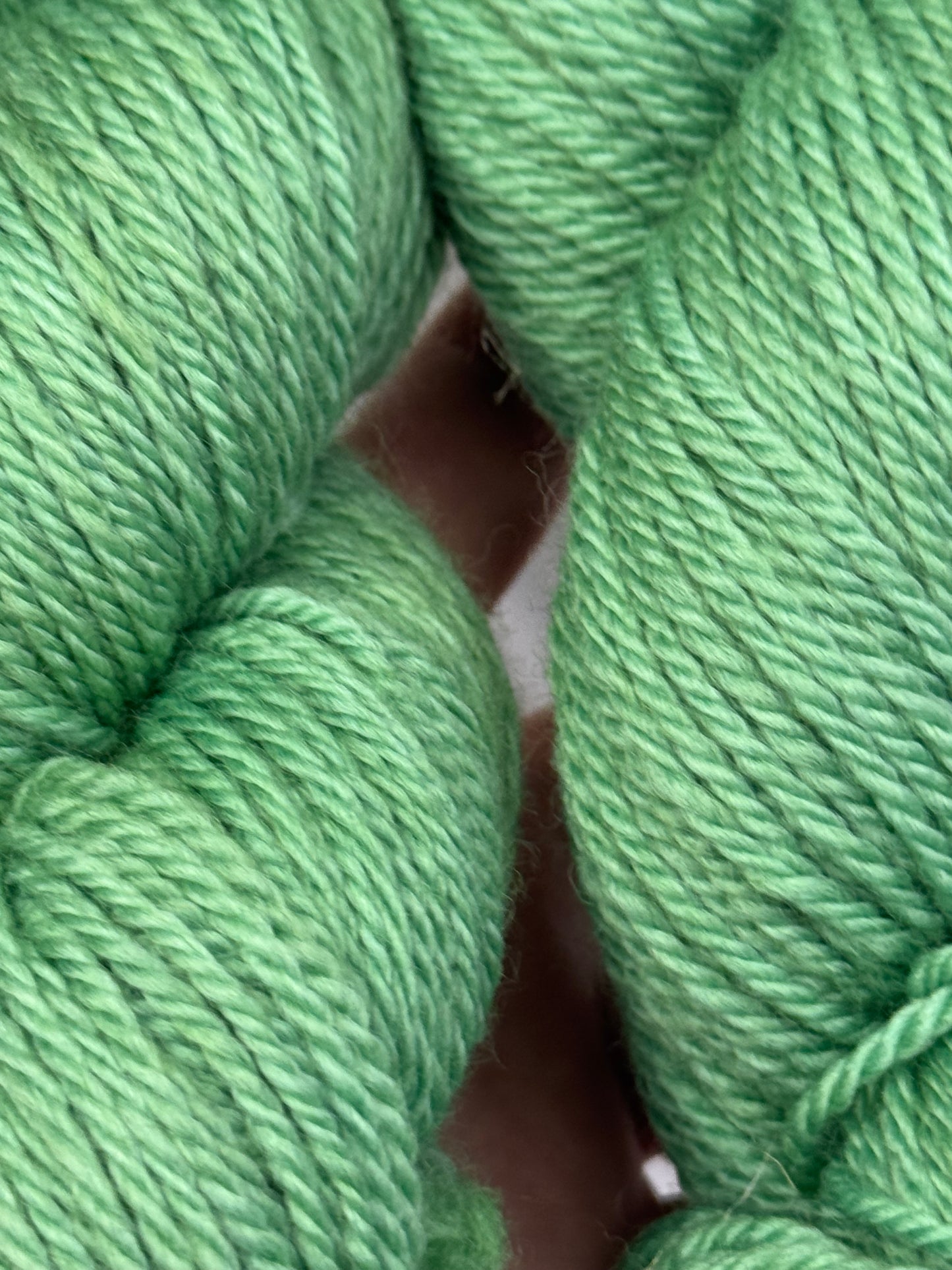 Grace's Merino~Green~DK Weight-Hand Dyed Yarn~251 Yards