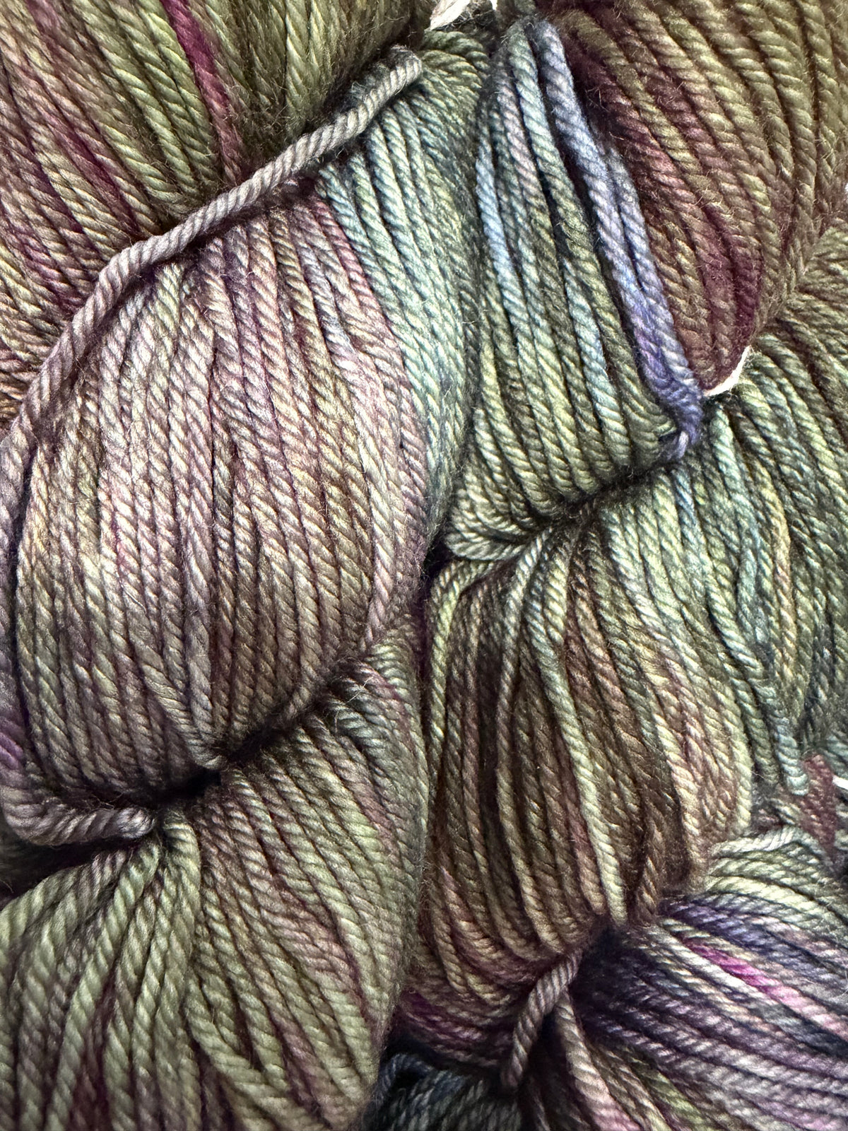 Rios~ Malabrigo~”Mirky Water”~ Worsted