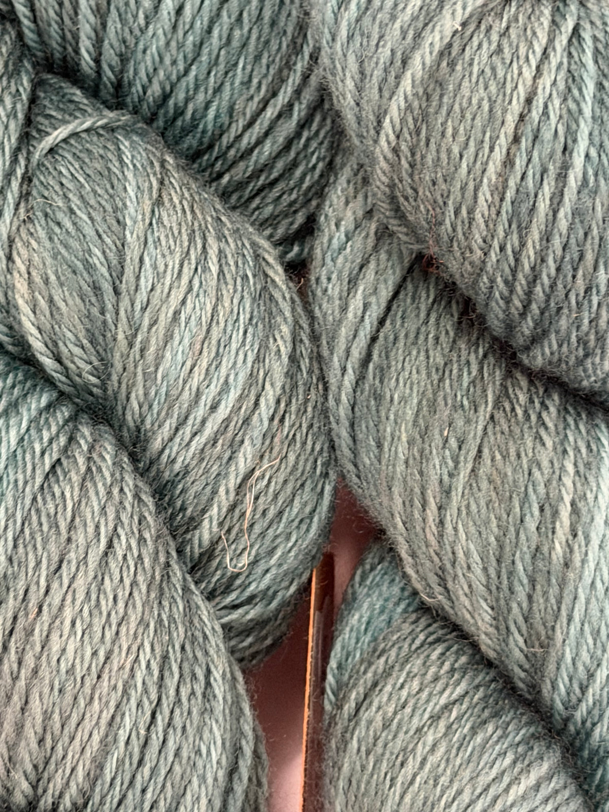 Forest ~ Gen’s DK