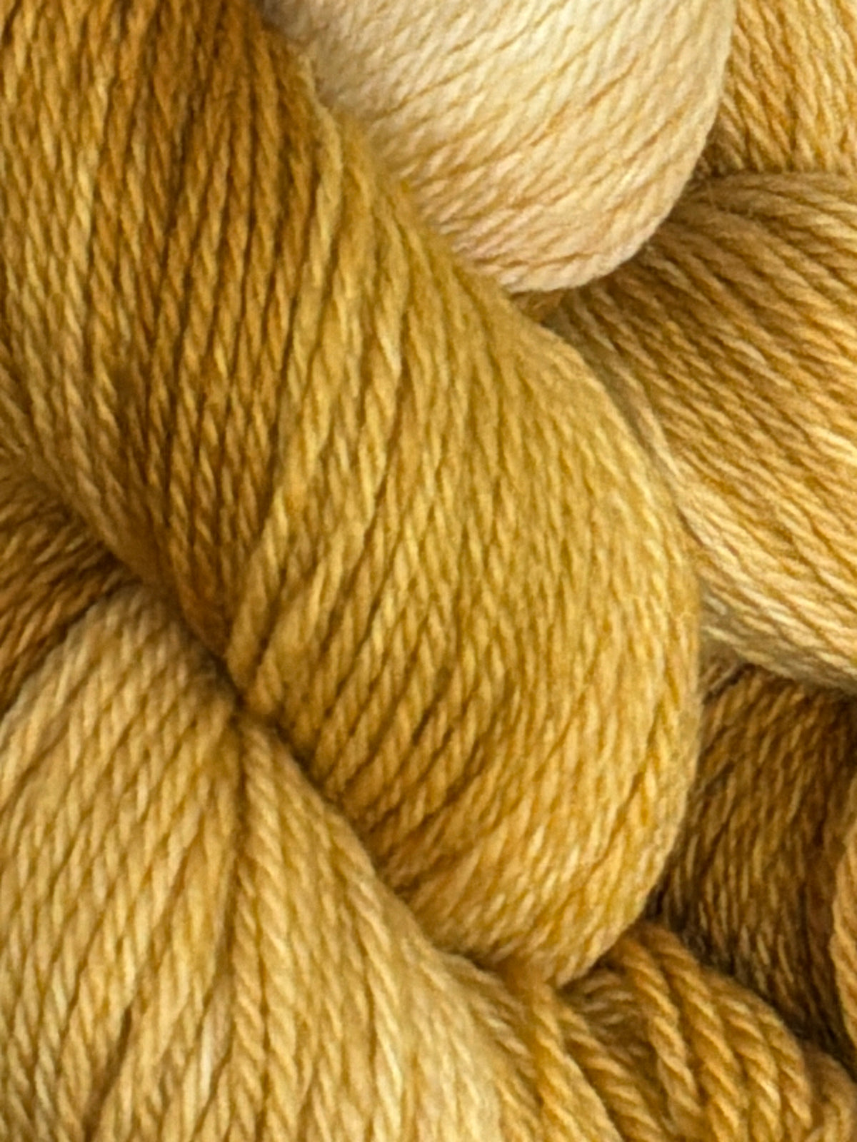 Light Autumn~         Christina's MCN Oooh Yummy! DK~80/10/10 Superwash Merino, Nylon, & Cashmere