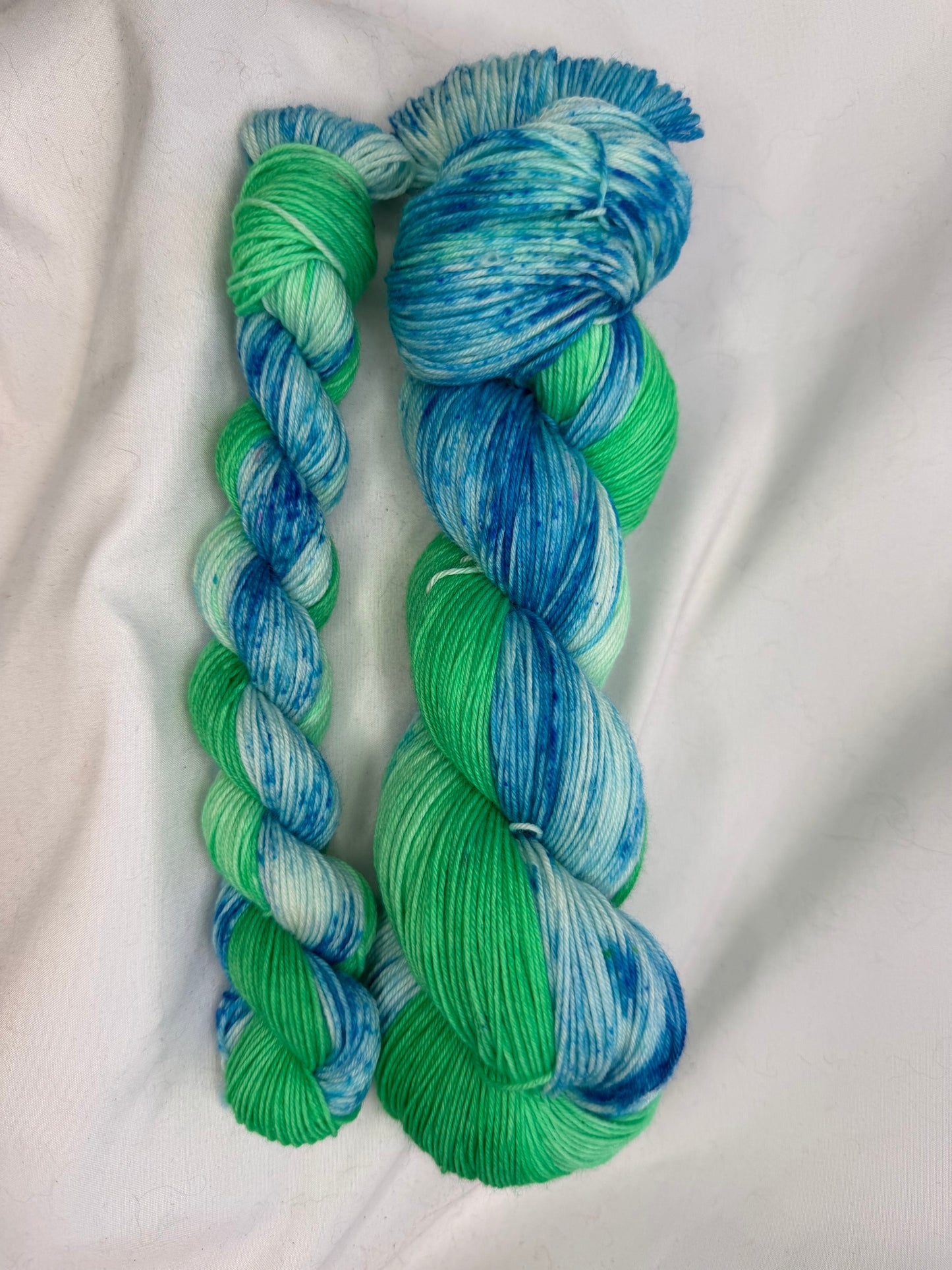 Evelyn's Sock Set~"Electric Garden Party"~Hand Dyed~Superwash Merino Nylon~Choose Your Colorway