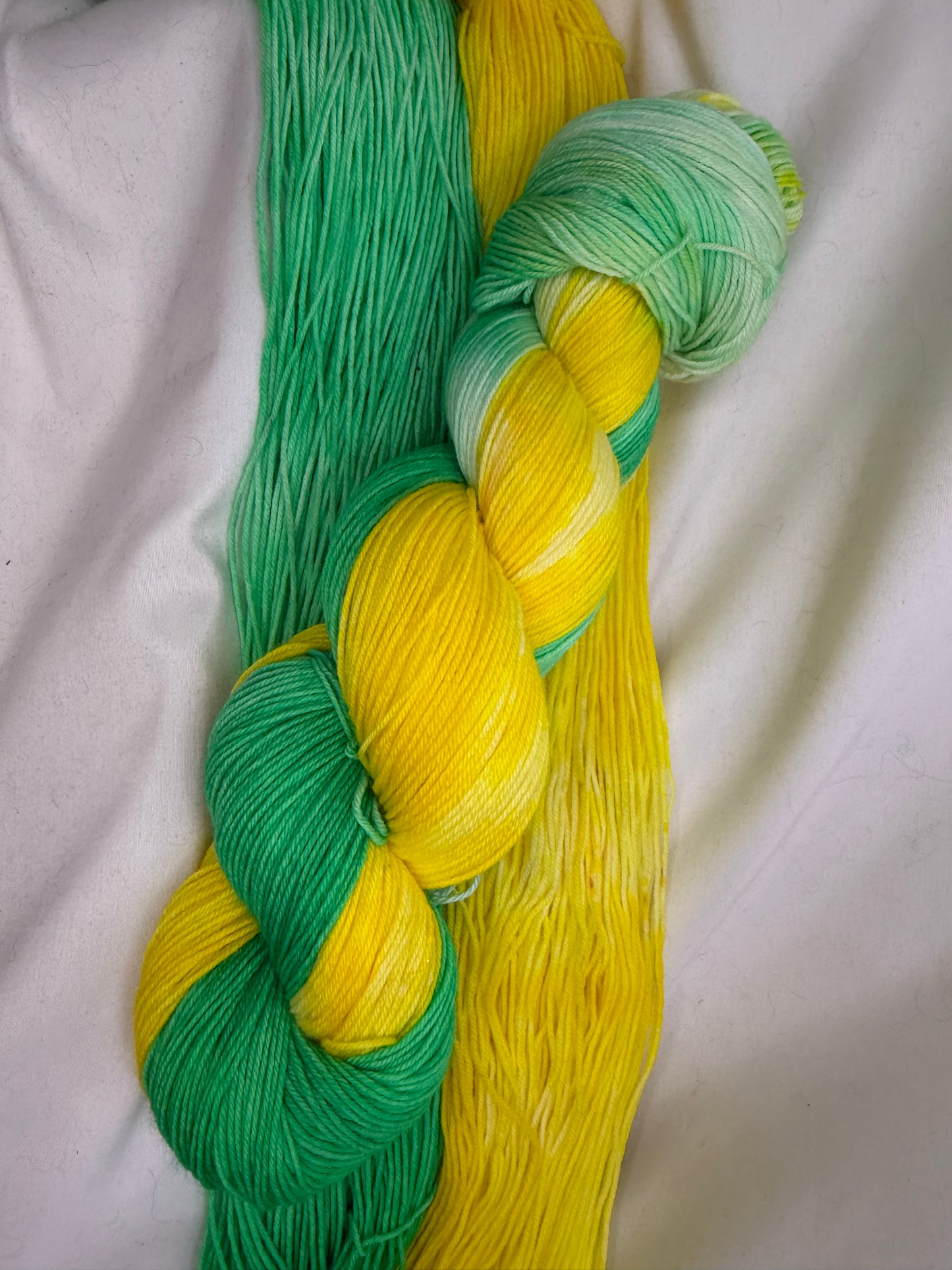 Evelyn's Sock Set~"Electric Garden Party"~Hand Dyed~Superwash Merino Nylon~Choose Your Colorway