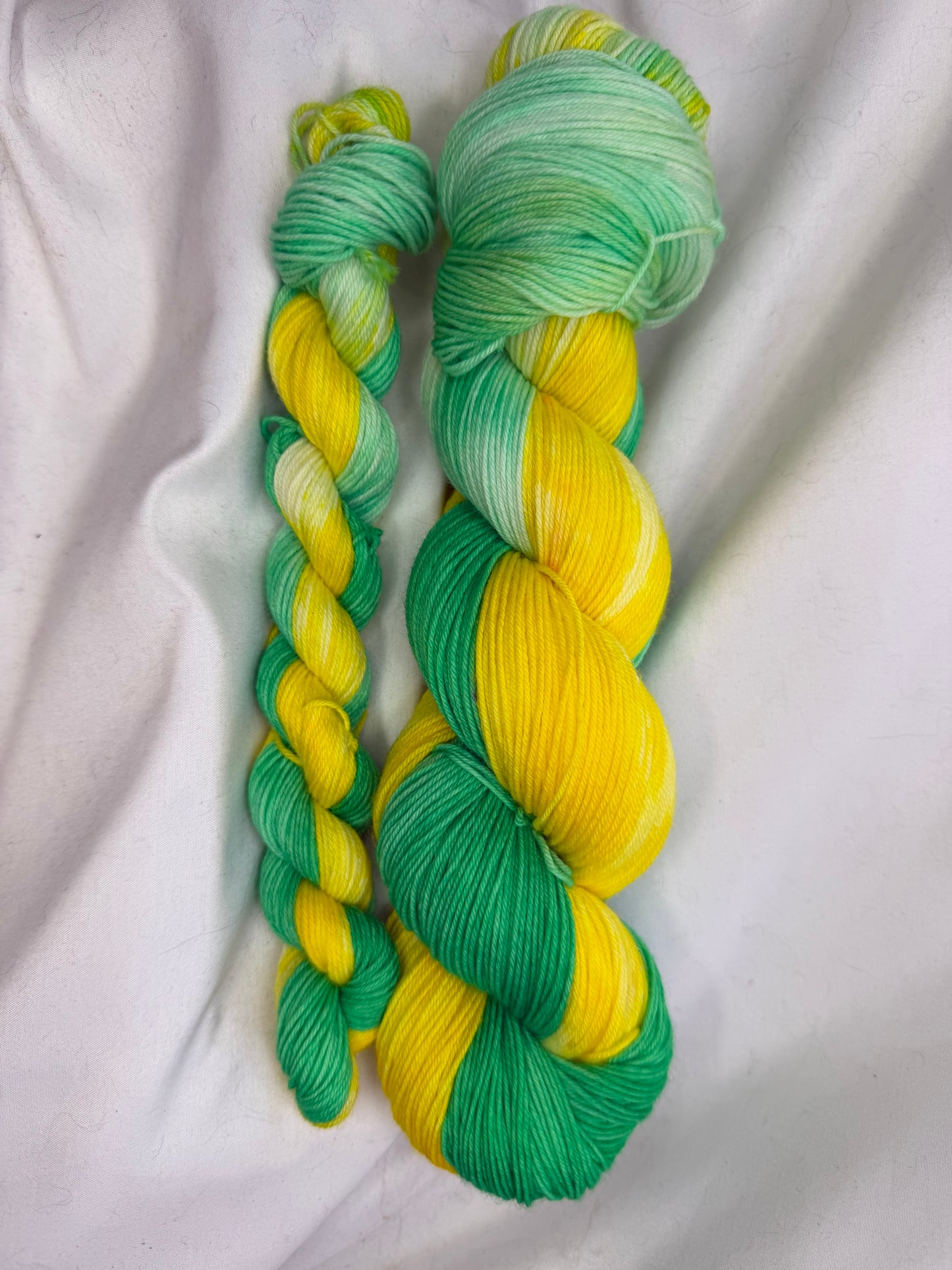 Evelyn's Sock Set~"Electric Garden Party"~Hand Dyed~Superwash Merino Nylon~Choose Your Colorway