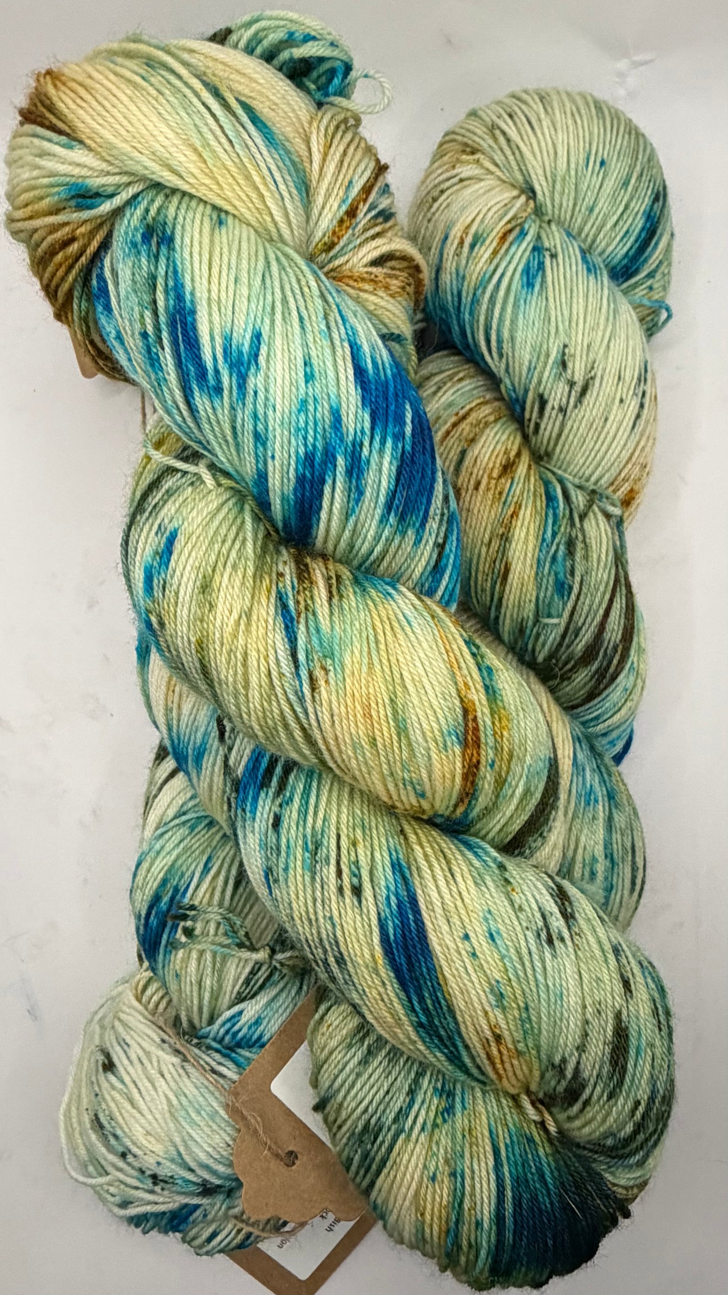 Sonoma Vine & Sky~Evelyn's Sock~75/25 Superwash Merino Nylon