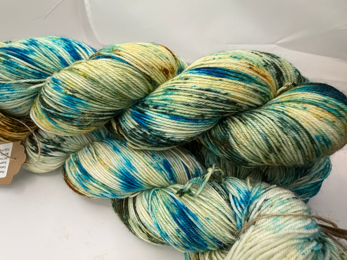Sonoma Vine & Sky~Evelyn's Sock~75/25 Superwash Merino Nylon