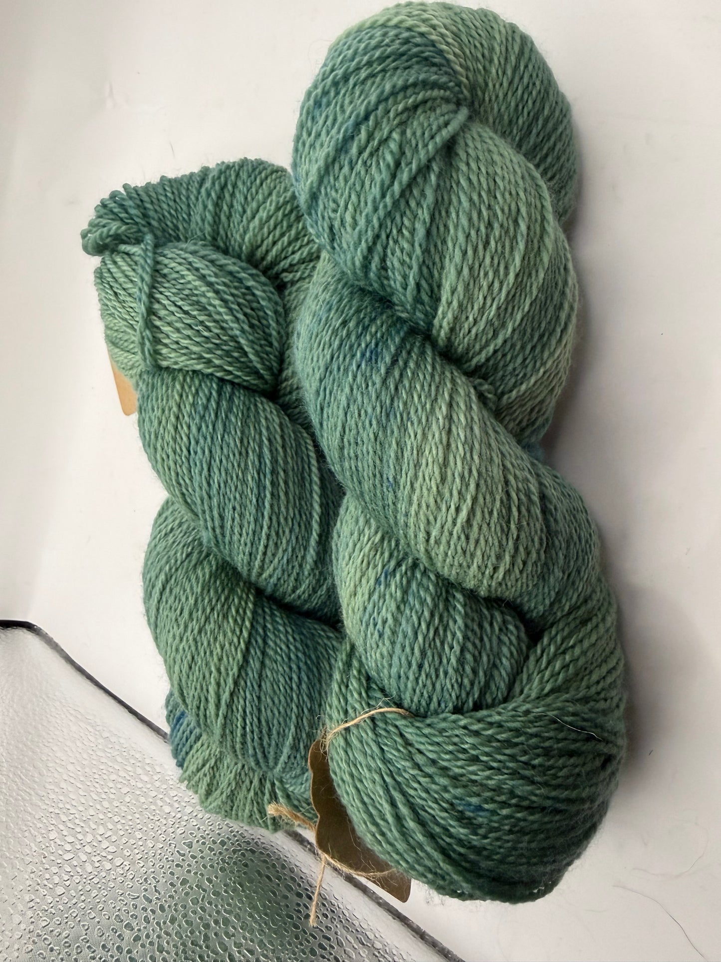 Hello Dusty Sage~         Christina's MCN Oooh Yummy! Sock~80/10/10 Superwash Merino, Nylon, & Cashmere