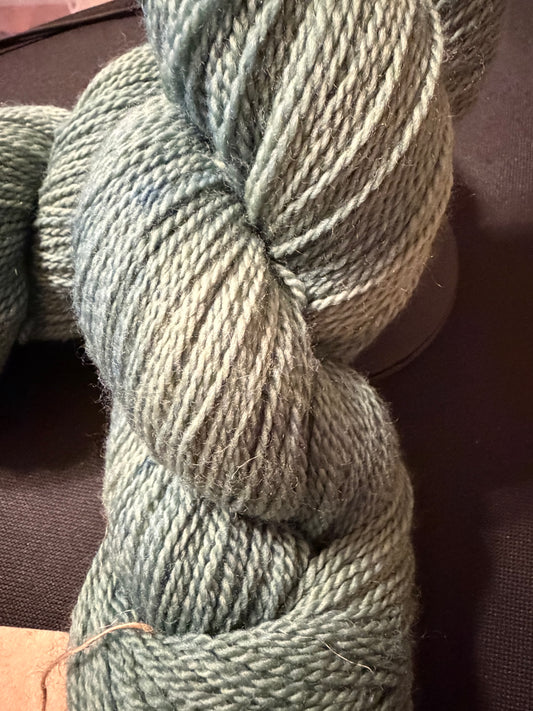 Hello Dusty Sage~         Christina's MCN Oooh Yummy! Sock~80/10/10 Superwash Merino, Nylon, & Cashmere