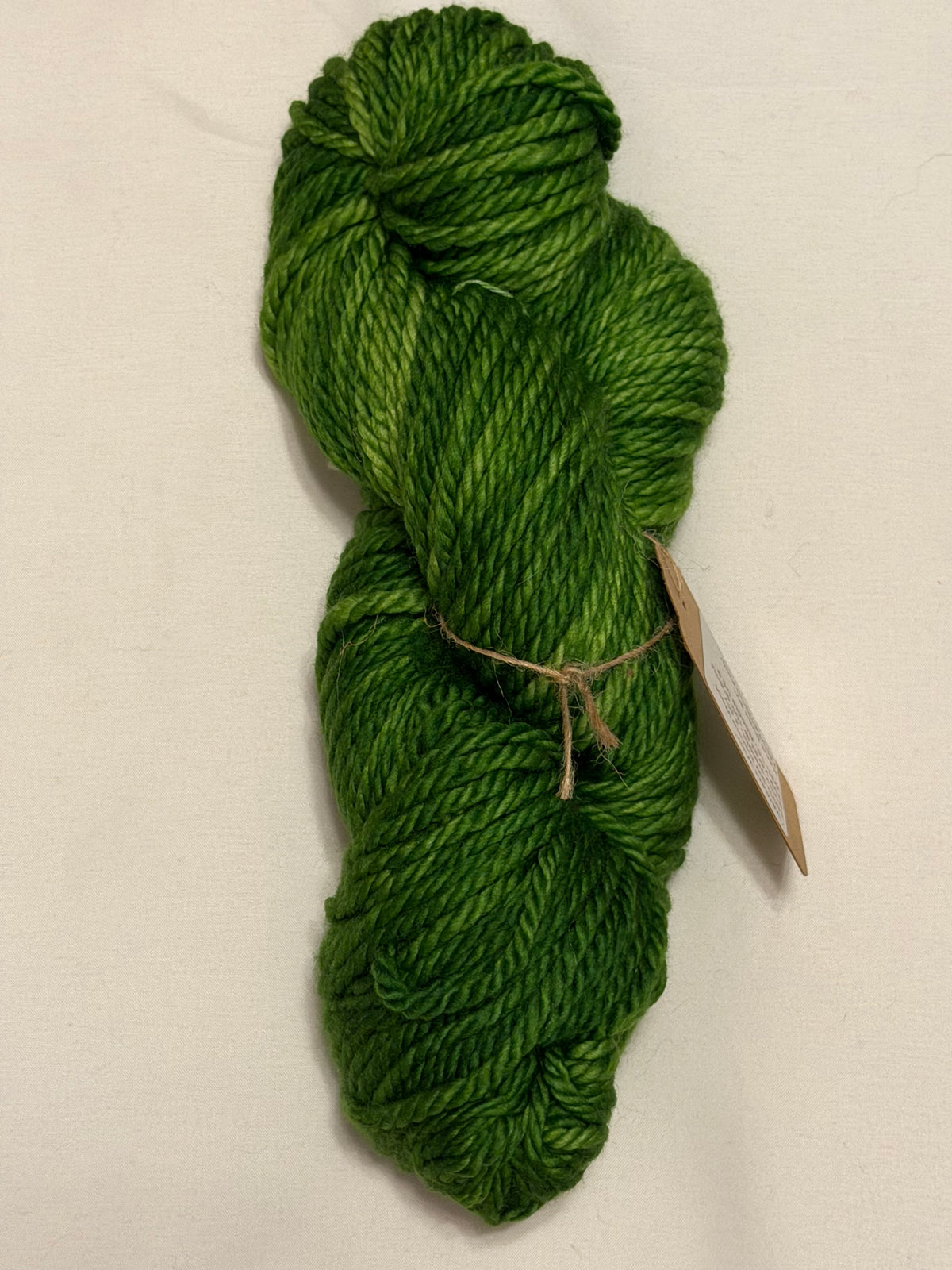 "Verdant Wish" ~ FairyTailSpun Fiber ~ 100% Superwash Merino Wool ~ Bulky