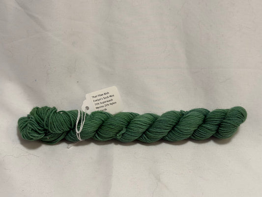 Green~Late Spring Palette~Mini Skein~Evelyn's Sock~75/25 Superwash Merino & Nylon