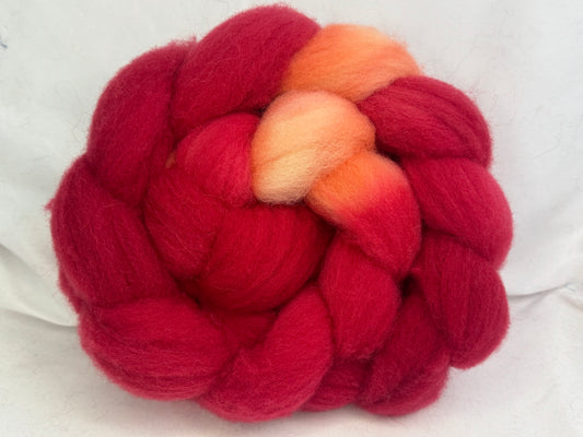 Charollais~~(CHAR-S-53) Hand Dyed 4 oz Braid