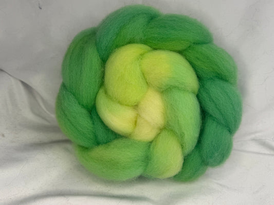 Brecknock Hill Cheviot~Hand Dyed~4 oz Braid(BH-CHEV-S-24)