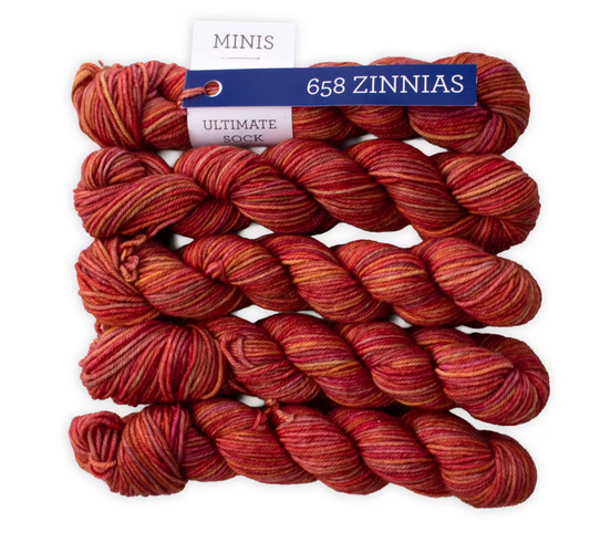 Ultimate Sock Mini "Zinnias"~ Malabrigo