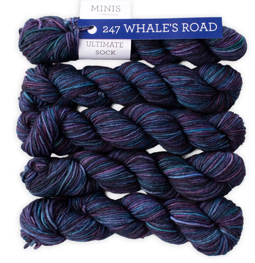 Ultimate Sock Mini "Whales Road"~ Malabrigo